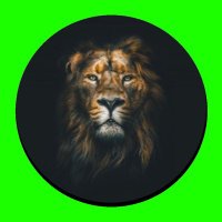 Crypto Lion ๐ฆ (@lionsenclosure) 's Twitter Profile Photo Crypto Lion ๐ฆ (@lionsenclosure) 's Twitter Profile Photo
