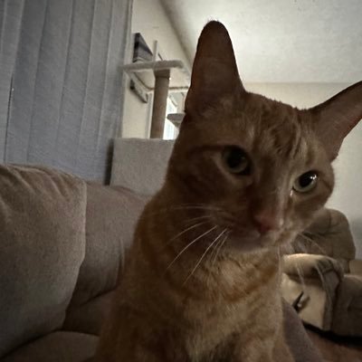 harv_scott's profile picture. 