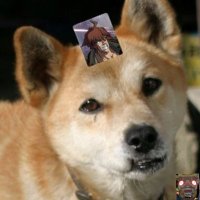 店長 (@tentyou08) 's Twitter Profile