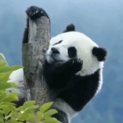 사학과 강사// 주로 전근대 한국사 및 여러 잡담// 소재야 어쨌든 모두 가벼운 티타임 한담.// 당연한 말이지만, rt와 마음은 동의가 아닌 '스크랩'