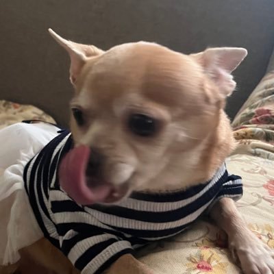 jairuz_dator's profile picture. 