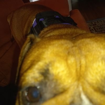 Rick6284Rtrt's profile picture. 