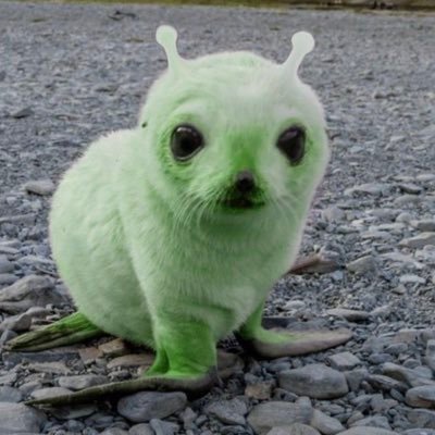 norimakkibab's profile picture. 왈루왈루왈ㄹ왈왈오ㅓㄹ!!!!!