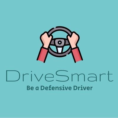 DriveSmart🛡️