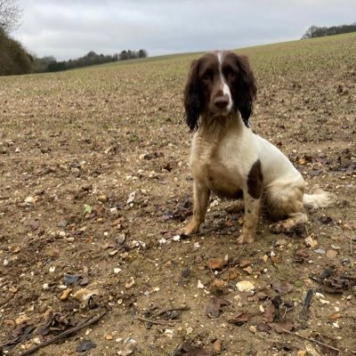 itswhatwedo3's profile picture. Enjoying life and what country living has to offer.