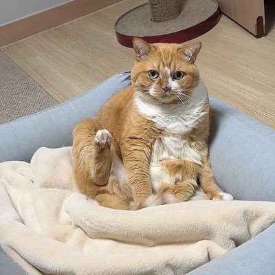 naeng_ii's profile picture. 