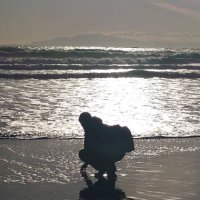 Shisei (@shisei_composer) 's Twitter Profile Photo Shisei (@shisei_composer) 's Twitter Profile Photo