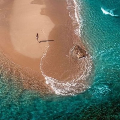 TheDiaspoRican's profile picture. 