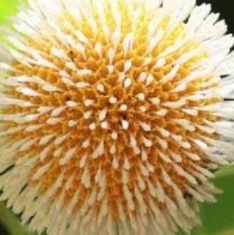 RimonRa31739130's profile picture. #Shimmer & #Test2Conquer #YouTuber #Airdrop #BTC$ #Crypto #trader ❤️UXLINK🚀 #❤️UXLINK🚀