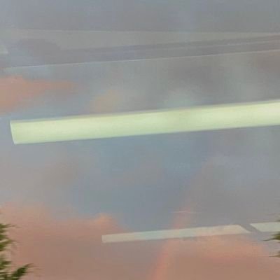 dawnnnrose's profile picture. 