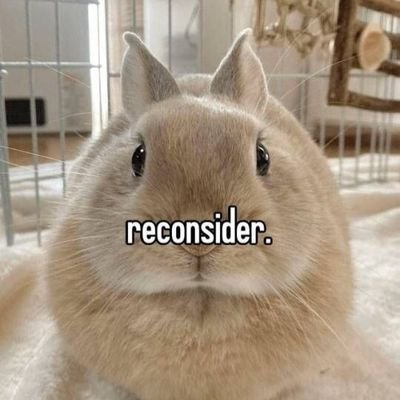 CarlosAyyyyy's profile picture. A degenerate account just for degenerate things.