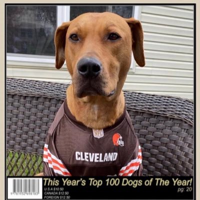 CopperTopsDawg's profile picture. 