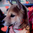 e11131003's profile image
