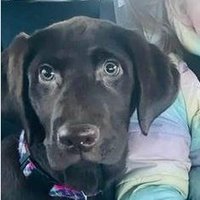 Elmo Hintz (@hintzelmo49230) 's Twitter Profile