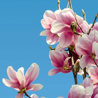 linxiao1672248's profile picture. 