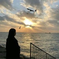 Stehide (@stehide29791) 's Twitter Profile