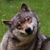 Ne Üzgün Türküm Diyene 🇲🇳🐺🇲🇳 (@neuzgunturkumdi) Twitter profile photo Ne Üzgün Türküm Diyene 🇲🇳🐺🇲🇳 (@neuzgunturkumdi) Twitter profile photo