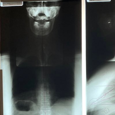 connie_fra58953's profile picture. Hire character. Train skill.