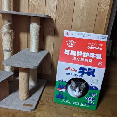 sorukirisa28454's profile picture. 