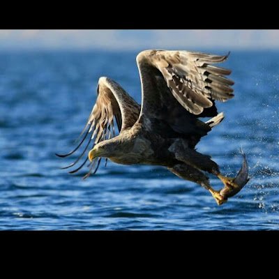 BarryWul41394's profile picture. 