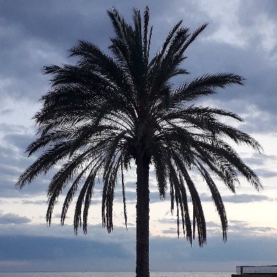 FrancisAntoniou's profile picture. 