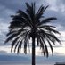 Francis Antoniou (@francisantoniou) Twitter profile photo Francis Antoniou (@francisantoniou) Twitter profile photo