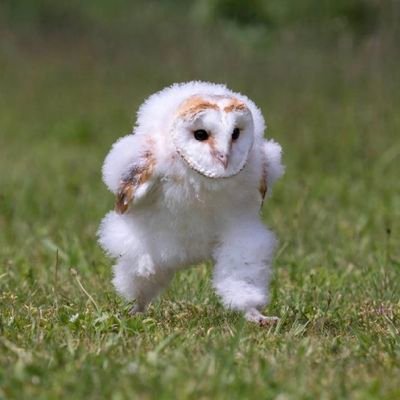 納期/新規9月さんのプロフィール画像