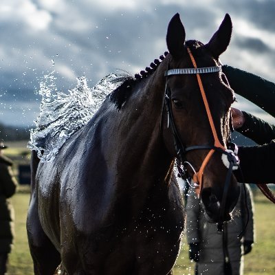 Heythrop point-to-point