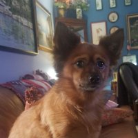 Edmund (@edmund89693117) 's Twitter Profile Photo