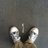 Andrei Bunea (@caz1ici) Twitter profile photo