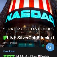 SilverGoldStocks ๐๐บ (@silvergoldstock) 's Twitter Profile
