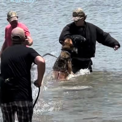 CltnLnds's profile picture. | K9 training