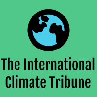 Monthly interviews and editorials with thought leaders in the world of climate and biodiversity markets, policy, business and finance