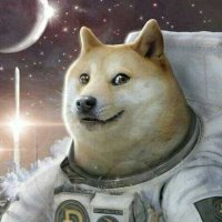 Donna Torphy (@dtorphy65433) 's Twitter Profile