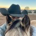 Texan SNCO-ish (@texanairman) Twitter profile photo Texan SNCO-ish (@texanairman) Twitter profile photo