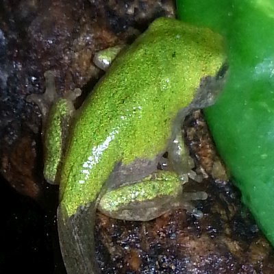 cristal55189's profile picture. Entrepreneurship is neither a science nor an art. It is a practice.