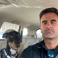 Bede O'Connell (@bedeoconnell) 's Twitter Profile