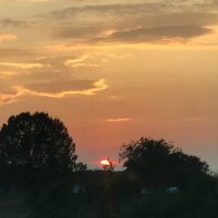 Clair Hayes (@clairhayes85067) 's Twitter Profile