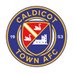 Caldicot Town AFC (@CaldicotTownAFC) Twitter profile photo