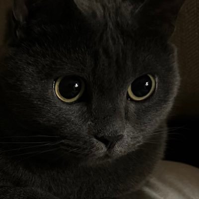 MochaJlzex's profile picture. 