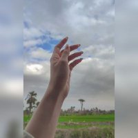 يمنى 🦋 (@yomnanshawky3) 's Twitter Profile