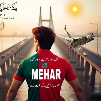 Mehar_from533 Profile Picture