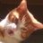 basbooosaaaa's profile image