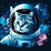 Philip Altenwerth (@paltenwert31321) Twitter profile photo Philip Altenwerth (@paltenwert31321) Twitter profile photo