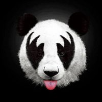 Pandanarchy (@pandanarchy1) 's Twitter Profile