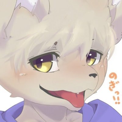 ノギノノさんのプロフィール画像