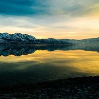 Freeman Ledner (@fledner69566) 's Twitter Profile