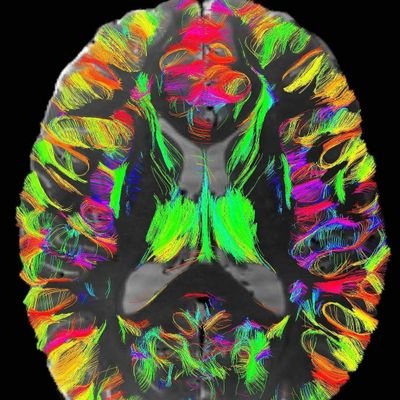 Cryptorozviedka's profile picture. I dont admire to the banks and politics