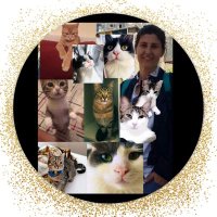 Zeliha Ay🥀░Z░e░l░i░ş░i░n░ ░P░a░t░i░l░e░r░i░ (@zelisinpatileri) 's Twitter Profile Photo