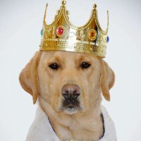 Jarl_SwagDog (@jswagdog) 's Twitter Profile Photo Jarl_SwagDog (@jswagdog) 's Twitter Profile Photo